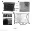 Fig. 05 - Conjugated polymers and their use in optoelectronic devices