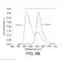 Fig. 07 - ORGANIC LIGHT EMITTING DIODE DISPLAY