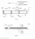 Fig. 02 - ORGANIC ELECTROLUMINESCENCE PANEL AND METHOD OF MANUFACTURING ORGANIC ELECTROLUMINESCENCE PANEL