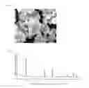 Fig. 03 - Polycrystalline lithium manganese oxide particles, preparation method thereof, and cathode active material including the same