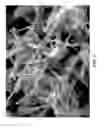 Fig. 05 - Lithium-ion batteries with nanostructured electrodes