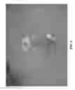 Fig. 07 - Lithium-ion batteries with nanostructured electrodes