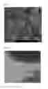 Fig. 05 - Method for preparing lithium iron phosphate nanopowder coated with carbon