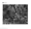Fig. 06 - Method for preparing lithium iron phosphate nanopowder coated with carbon