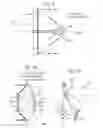 Fig. 03 - Directional multi-band antenna