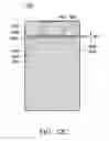 Fig. 14 - Antenna structure and mobile device