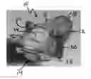 Fig. 01 - Vehicle power connector