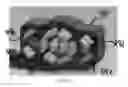 Fig. 06 - Vehicle power connector