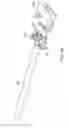 Fig. 27 - Connector insert having a cable crimp portion with protrusions and a receptacle having a label in the front