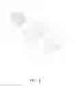 Fig. 05 - TWO IN ONE ELECTRICAL CONNECTOR