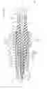 Fig. 01 - Spark plug and method of manufacturing the same