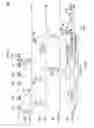 Fig. 17 - Range extension in wireless local area networks
