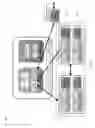 Fig. 10 - Systems and methods for secured backup of hardware security modules for cloud-based web services