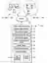 Fig. 01 - Secure local server for synchronized online content management system