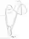 Fig. 06 - Accessory for mobile electronic device