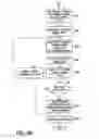 Fig. 10 - Intercepting voice over IP communications and other data communications