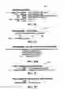 Fig. 14 - Intercepting voice over IP communications and other data communications
