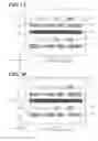 Fig. 08 - Image forming apparatus