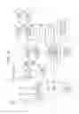 Fig. 22 - Focus adjustment apparatus, focus adjustment method, program and image pickup apparatus