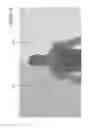 Fig. 18 - System and method for real-time depth modification of stereo images of a virtual reality environment