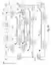 Fig. 11 - Ring in ring passive optical network system for providing fiber to the home with reduced number of fibers