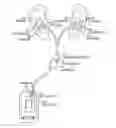 Fig. 01 - Headphone responsive to optical signaling