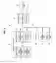 Fig. 02 - Operation method of station in wireless local area network