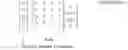 Fig. 02 - Frequency and phase synchronization using full duplex radios over wireless mesh networks