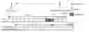 Fig. 01 - Methods and devices for transmitting data