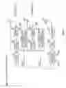 Fig. 31 - Wireless communication apparatus and wireless communication method