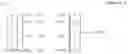 Fig. 03 - Method for receiving signal with interference eliminated and terminal therefor