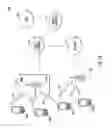 Fig. 02 - Method and apparatus for communication in a network of WLAN overlapping basic service set