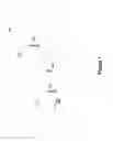 Fig. 02 - Pre-allocated random access identifiers