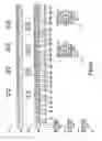 Fig. 09 - Inter-eNB carrier aggregation