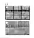 Fig. 31 - Bezel-free display device formed by using flexible wires and manufacturing method therefor
