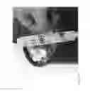 Fig. 127 - Strawberry cultivars