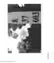 Fig. 136 - Strawberry cultivars