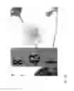 Fig. 139 - Strawberry cultivars