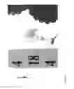 Fig. 16 - Strawberry cultivars