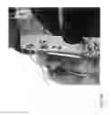 Fig. 210 - Strawberry cultivars