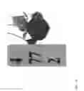 Fig. 27 - Strawberry cultivars
