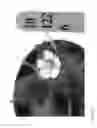 Fig. 334 - Strawberry cultivars