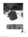 Fig. 450 - Strawberry cultivars