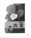 Fig. 76 - Strawberry cultivars