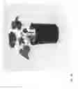 Fig. 86 - Strawberry cultivars
