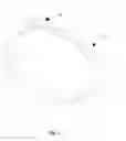Fig. 03 - PLANTS PRESERVATION DEVICE