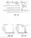 Fig. 02 - Method for enhancing amidohydrolase activity of fatty acid amide hydrolase