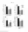 Fig. 06 - Nutrition composition