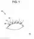 Fig. 02 - Systems and methods for eyelash extensions