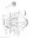 Fig. 06 - Article incorporating a knitted component with zonal stretch limiter
